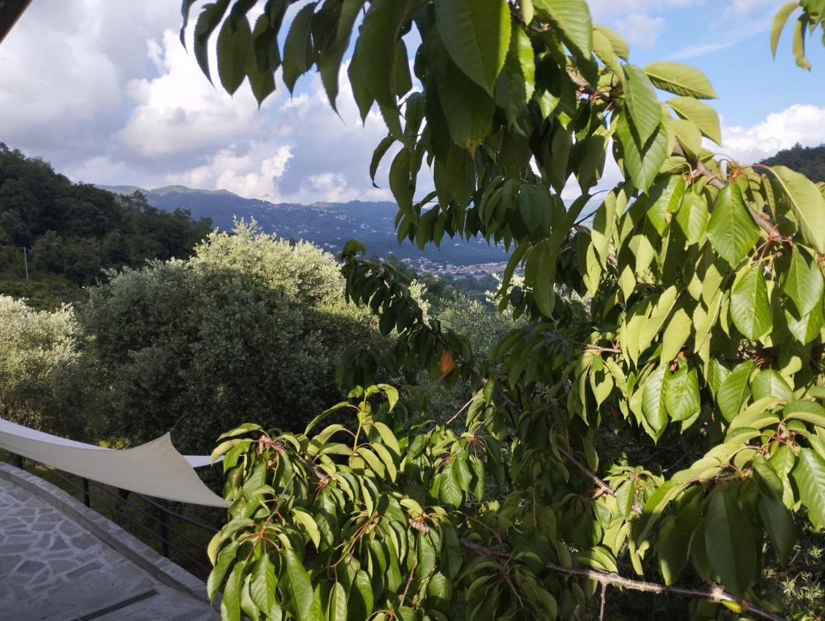 Villa Degli Ulivi Tivegna Dış mekan fotoğraf