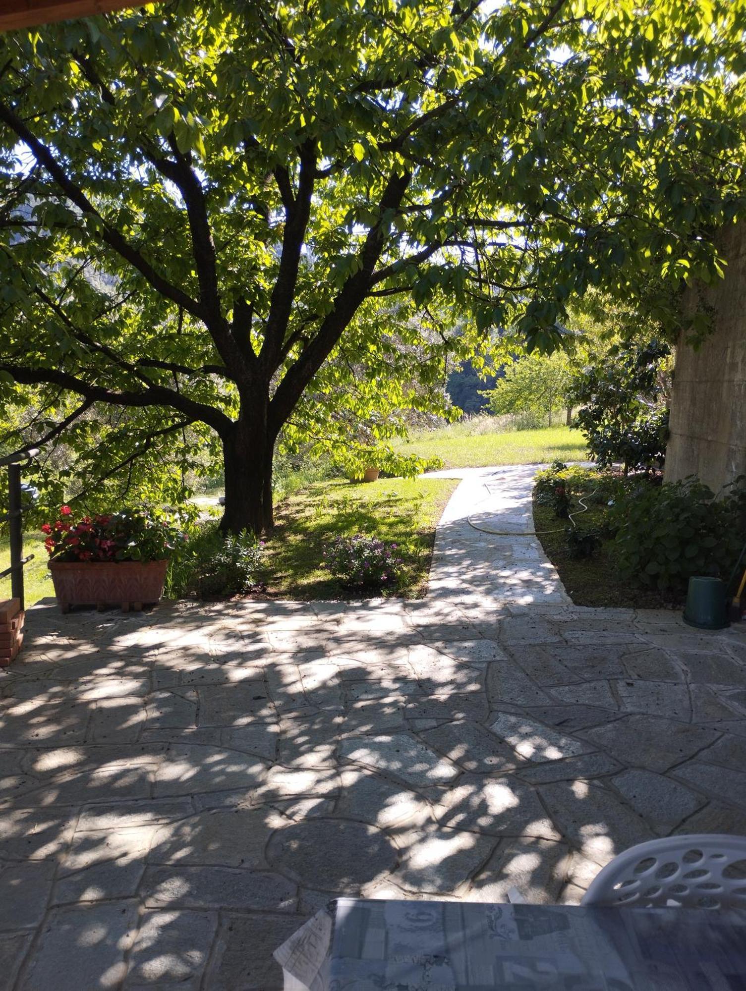 Villa Degli Ulivi Tivegna Dış mekan fotoğraf