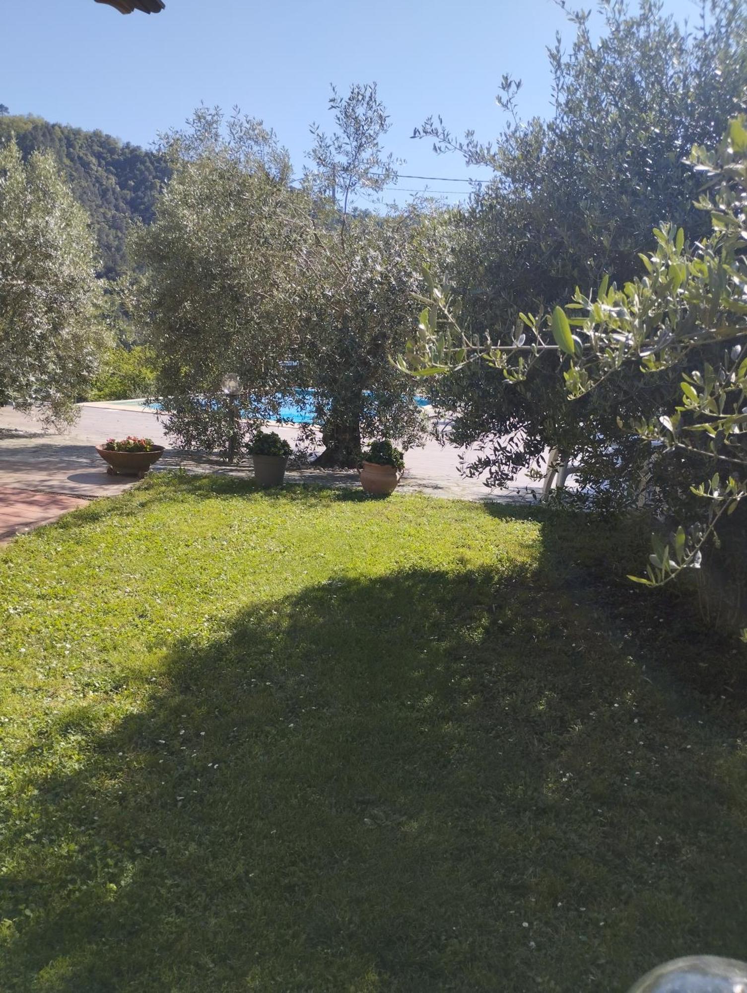 Villa Degli Ulivi Tivegna Dış mekan fotoğraf
